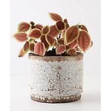 Outdoor Gift Ideas