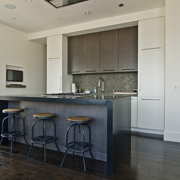 Penthouse Conversion