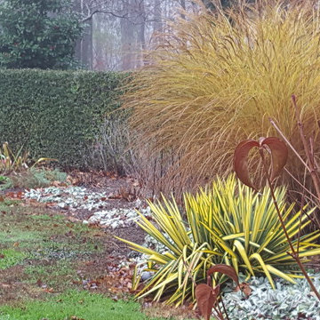 My Garden