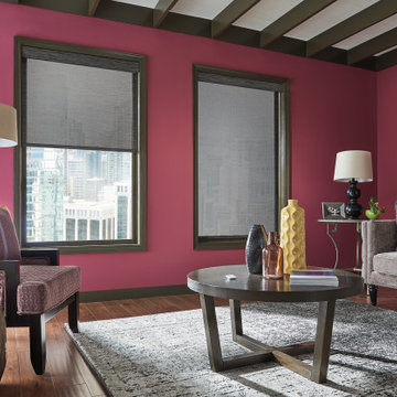 Solar Roller Shades - Inspiration