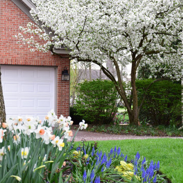 Spring Annuals & Bulbs