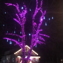 Christmas Lights
