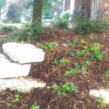 Naperville Foundation and Entryway Makeover