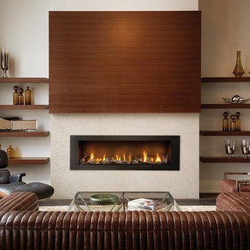 Napoleon Fireplace Gallery