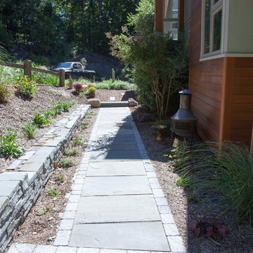 Back yard poo and landscape