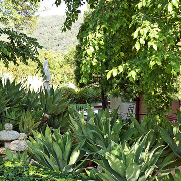 Family Compound