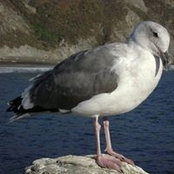 Sofia Gonzalez's photo