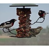 Gina Gessler's photo