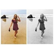 Foto von Bianca van Tonder