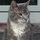 janice_whitworth