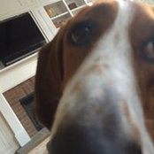 Eric Frizzell's photo