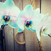 Jasone's photo