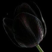 Maryam Al-Zadjali's photo