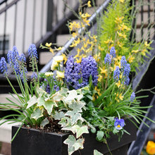 Abre jardín