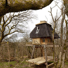 Tree houses