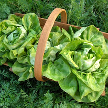 gardening