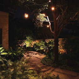 Firefly Lighting - Products