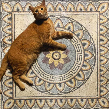 Greco-Roman Flower Mosaic - Aquila