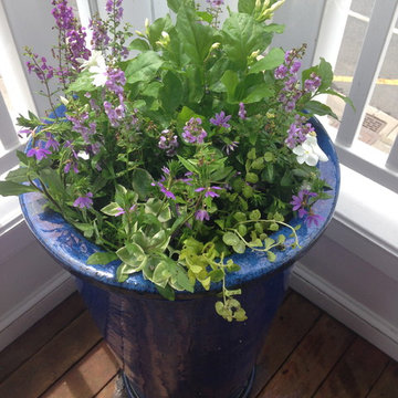 Container Gardens