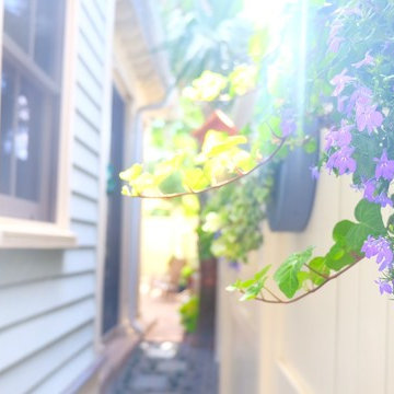 Hideaway Sanctuary