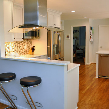 Classic Traditional White Kitchen / Rockville, MD