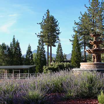 TI Ranch Estate