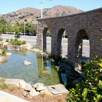 Large Scale Pond for Shopping Plaza Entrance