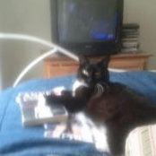 Jocelyn Woods's photo