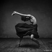 Dana Tudor's photo