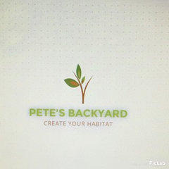 Pete's Backyard LLC