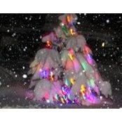 Debby Mancuso's photo