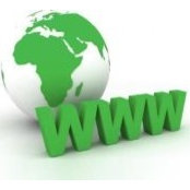 Seo Gurus foto