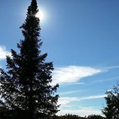 Andy Benath's photo