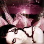 Joni Zitting's photo