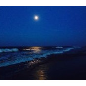 Bonnie Stephens's photo