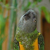John Beward's photo