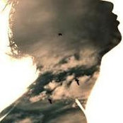 Sarah Abd Elall Hassan's photo