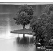 Patrick Morris's photo