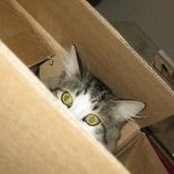 Azrael Robertson's photo