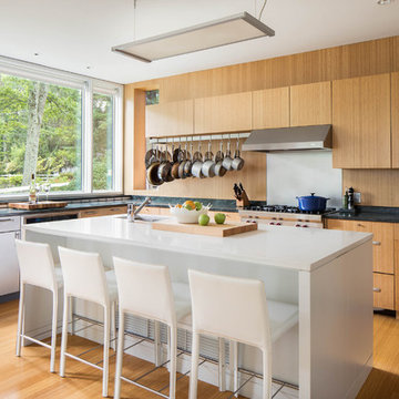 Contemporary Kitchen