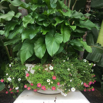 Pot Design