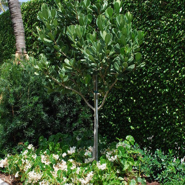 Rood Landscape Projects