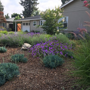 Los Altos No Lawn, Low Water