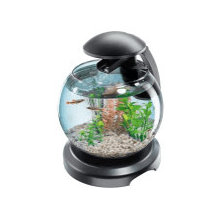 goldfish tank