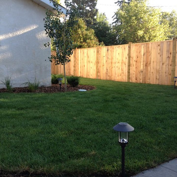 Woods backyard