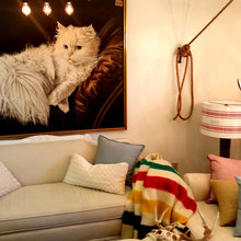 Living Room Ideas