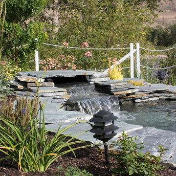Water Features & Ponds