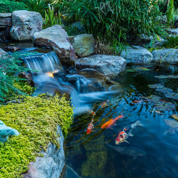 Custom Pond Project in Knoxville Tennessee