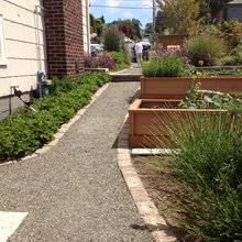 Vege Garden