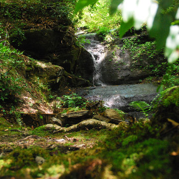 Streams and Waterfalls -- Moss -- An Essential Element